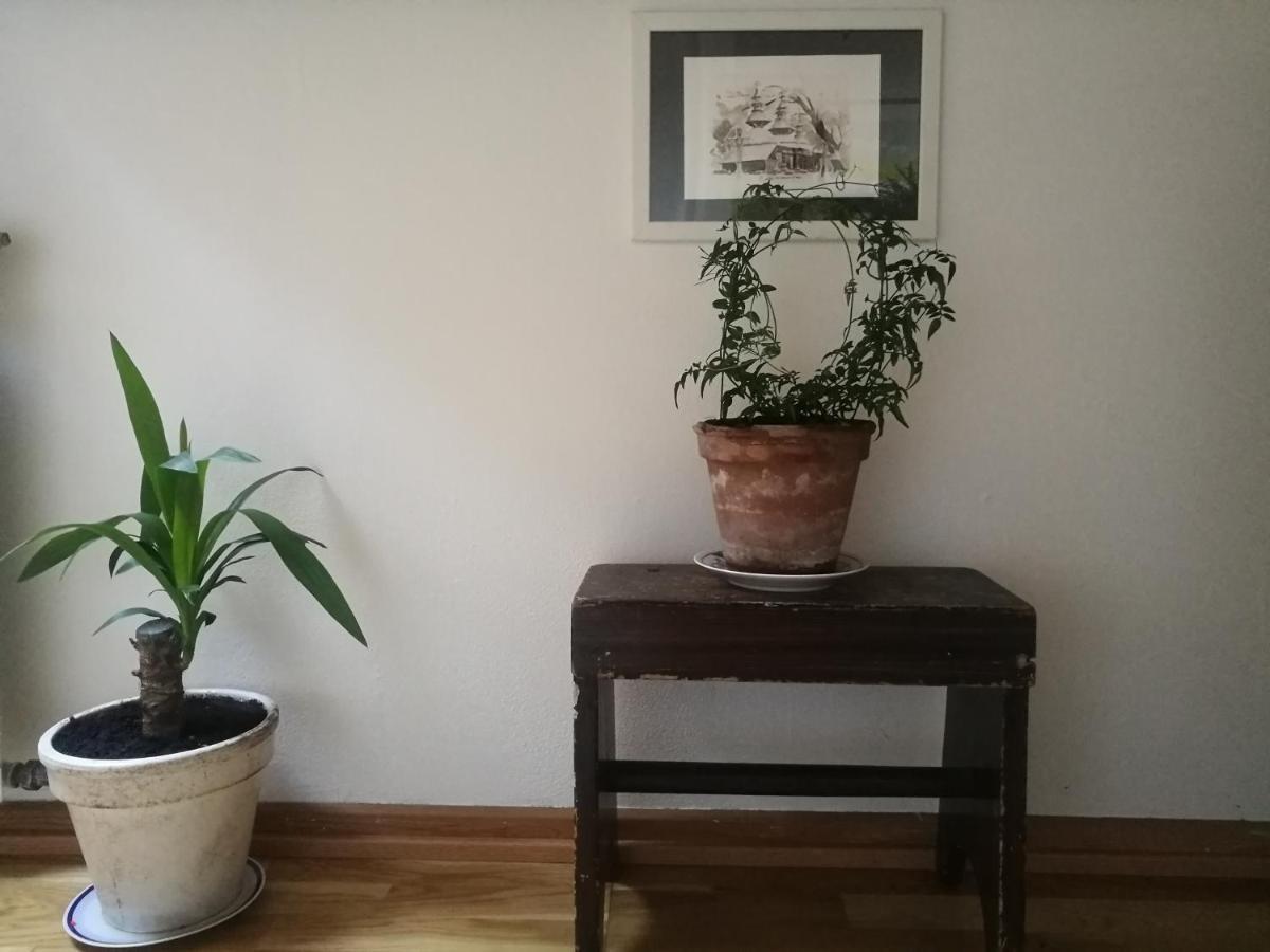 Green Vagon, Farm B&B Rooms For Rent Hjørring Εξωτερικό φωτογραφία